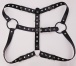 SSI - Nipple Dome Harness - Black photo-5