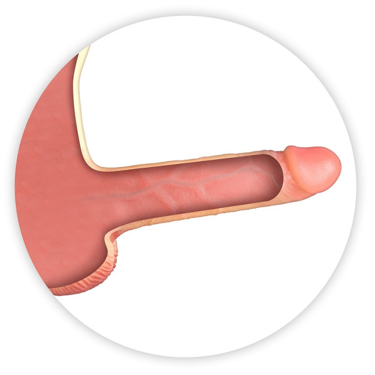 Real Manly - Hollow Realistic Dildo Suit - Flesh - S/M photo