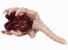 FAAK - Soul Embracer Masturbator - Flesh/Red 照片-3