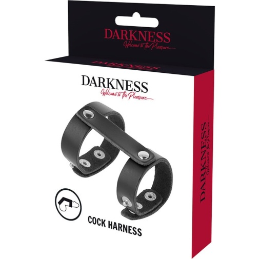 Darkness - Cock Harness - Black photo