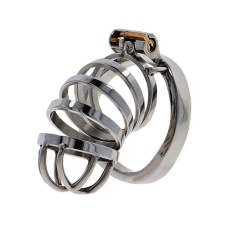 Hidden Desire - Metal Chastity Cage  照片