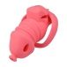 FAAK - Long Resin Chastity Cage - Red 照片