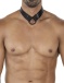 Cut4men - C-Ring Harness w Collar - Black photo-3