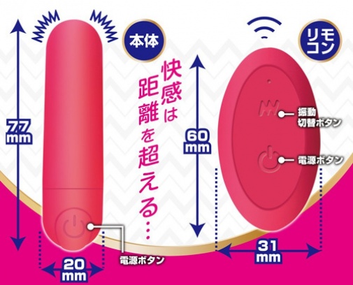 A-One - 遥控震蛋连内裤 - 粉红色 照片