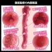 SSI - Akari Mitani Japanese Real Hole Masturbator photo-2