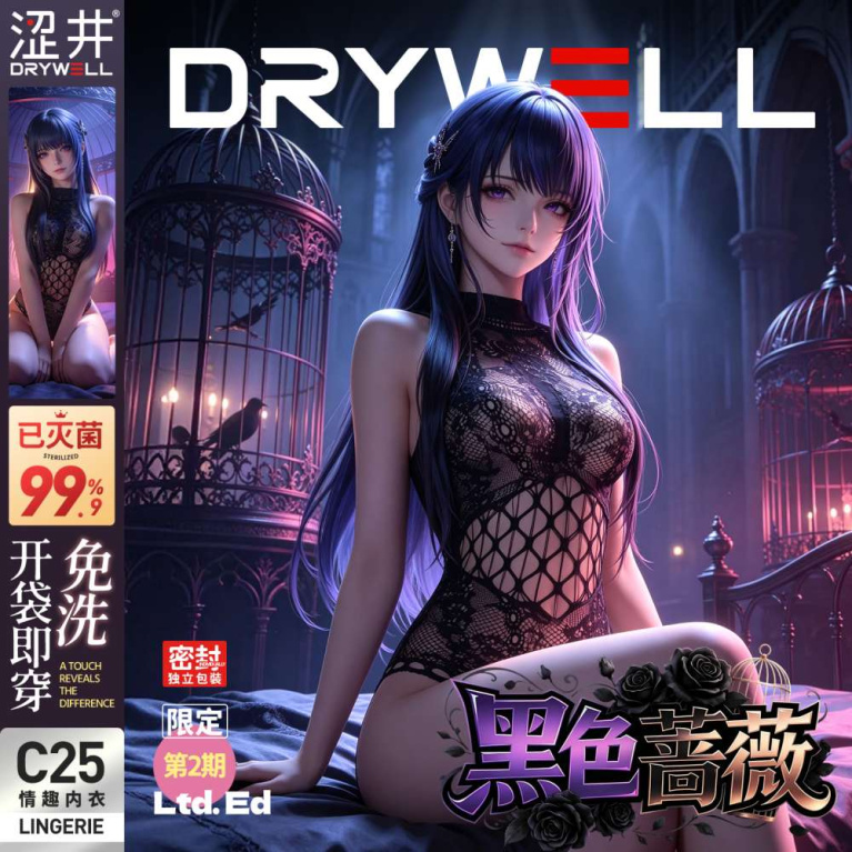 Drywell - C25 Anime Lace Teddy - Black photo