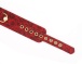 Liebe Seele - Rosy Lamb Leather Collar w Leash - Red photo-2