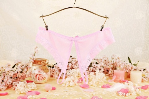 SB - Crotchless Panties 229 - Light Pink photo