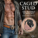 Master Series - Bull Chastity Cage - Black photo-3