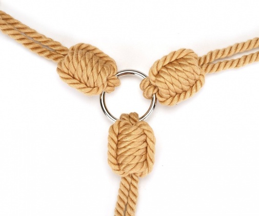 Liebe Seele - Shibari Rope Collar Back Restraint photo