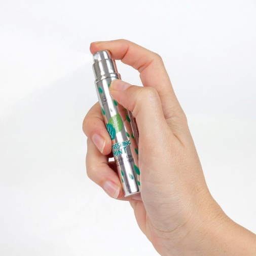 Secret Play - Wet Mouth Oral Spray Mint - 11g photo