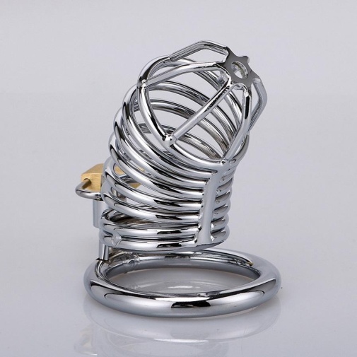 XX-Dreamstoys - Snake Metal Cock Cage photo