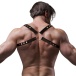 Fetish Submissive - Back Chest Male Harness - Black photo-2