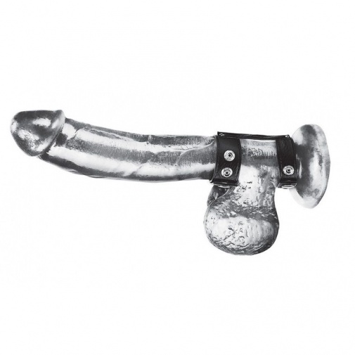 Blueline - Duo Snap Cock And Ball Ring photo
