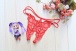 SB - Crotchless Lace Thong - Red photo