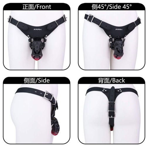 FAAK - Dragon Resin Chastity Cage M - Black photo