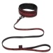 Fifty Shades of Grey -  Sweet Anticipation Collar w Leash - Red photo