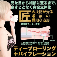 SSI - Sarina Momonaga Vibro Blowjob Masturbator 照片