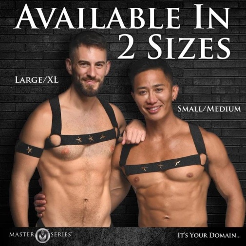 Master Series - Star Boy Male Harness - Black - L/XL photo