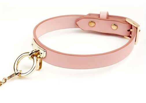 MT - Collar w Leash - Pink photo