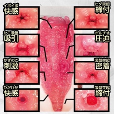 NPG - 极上美女2椎名空自慰器 照片