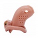 FAAK - Long Bird Chastity Cage - Brown photo-2