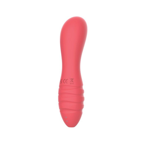 Nasstoys - Sorbet Mini Vibrator - Ruby Red photo