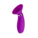 Honey Play Box - Seduction Suction Vibrator - Purple photo