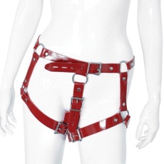 XX-Dreamstoys - Beauty Female Chastity Belt - Red 照片
