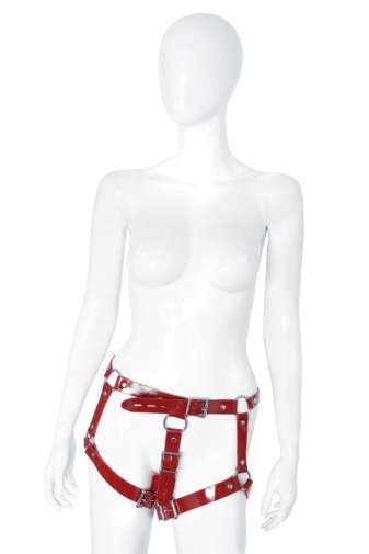 XX-Dreamstoys - Beauty Female Chastity Belt - Red 照片