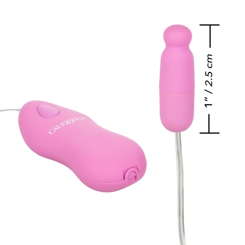 CEN - Micro Heated Bullet w Remote - Pink photo