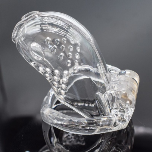 FAAK - Long Bird Chastity Cage - Clear photo