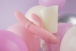 SVAKOM - Mora Neo Interactive Rabbit Vibrator - Peach Pink photo-9