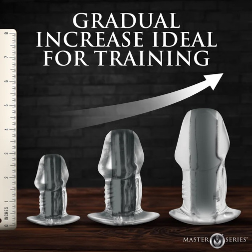 Master Series - Dicked 陰莖造型空心後庭塞 3件套裝 - 透明 照片