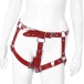 XX-Dreamstoys - Beauty Female Chastity Belt - Red 照片