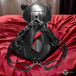 Master Series - BDSM Bear Backpack - Black 照片-6