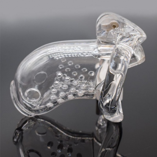 FAAK - Long Bird Chastity Cage - Clear photo