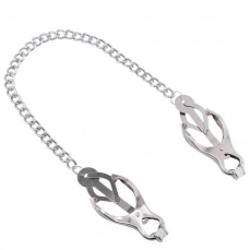 MT - Nipple Clamps with Chain photo