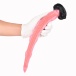 FAAK - Lord Octopus Dildo M - Squidgy 照片-5