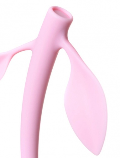 JOS - Berry Vaginal Ball - Pink photo