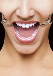 Ouch - Hook Mouth Gag photo