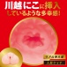 EXE - Niko Kawagoe Japanese Real Hole Masturbator photo-4