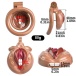 FAAK - Pussy Resin Chastity Cage 45mm - Flesh photo-4