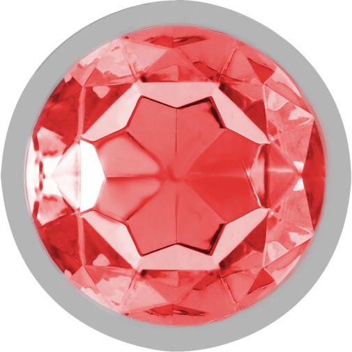 Intense - 金属宝石后庭肛塞 细码 - 红色 照片
