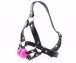 XFBDSM - Silicone Harness Ball Gag - Pink photo
