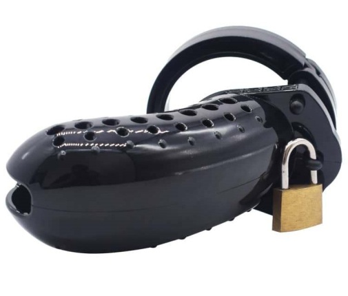 FAAK - Plastic Chastity Cage 23 - Black 照片