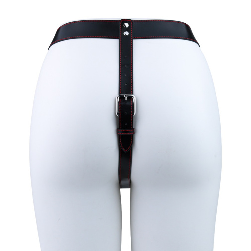 FAAK - Desire Arc Vibro Three Head Strap-On photo