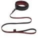 Fifty Shades of Grey -  Sweet Anticipation Collar w Leash - Red photo-4