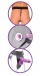 Fetish Fantasy - 豪华版空心穿戴式假阳具套装 - 紫色 照片-4