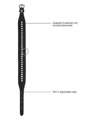 Ouch - 連牽帶鑲鑽項圈 照片